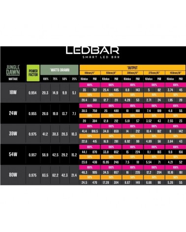 Arcardi LumenIZE Jungel Dawn Smart LED Bar